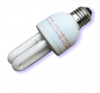 12V専用電球型蛍光灯（白色/電球色）指定